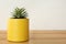 Echeveria plant in yellow tin can on wooden table, closeup. Space for text