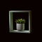 Echeveria in a white flowerpot in a wooden green frame on a dark background.