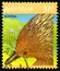 Echidna Australian Postage Stamp