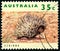 Echidna Australian Postage Stamp