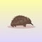 Echidna icon cartoon endangered wild australian animal symbol wildlife species fauna concept flat