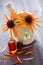 Echinacea alternative medicine