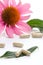 Echinacea capsules