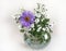 Echinacea flower with in a bouquet with daisies in a glass vase