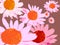Echinacea flower motif