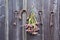 Echinacea purpurea coneflower bunch, horseshoe and old key on wall