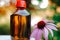 echinacea purpurea extract.Echinacea tincture.Herbal medicinal tinctures. bottle and echinacea flower. alternative