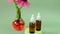 Echinacea tincture.healing medical tincture of Echinacea purpurea.Healing herbs and flowers.Echinacea purpurea flowers