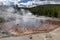 Echinus Geyser, Back Basin, Yellowstone National Park