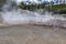 Echinus Geyser, Back Basin, Yellowstone National Park