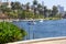 Echo Park Lake - swan boats