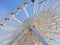 Echo Wheel by the Liverpool Albert Dock