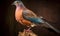 Echoes of the Skies Rediscovering the Passenger Pigeon\\\'s Lost Flight