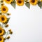 Eclectic sunflower border