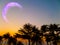 eclipse moon rare phenomenon silhouette coconut beach