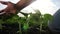 Eco agriculture environmental protection. farmer hand touches pouring sunflower plants low on black soil. farmer hand