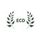 Eco banner with two branches. Symbol, logo, emblem for healthy food