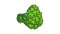 Eco broccoli icon animation