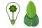 Eco Bulb with green leaf