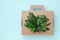 Eco cardboard box from recyclable organic materials with green leaves. Eco friendly cardbox packaging, zero waste