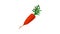 Eco carrot icon animation