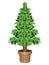Eco Christmas tree - a living green conifer in a flower pot. Evergreen seedling in a ceramic brown eco-friendly flowerpot - full c