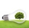 Eco concept, green tree growing in a bulb