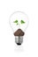 Eco concept: light bulb with green plant inside