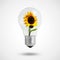 Eco concept: light bulbs with Sunflower inside