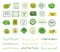 Eco emblems. Organic logo, green leaf borders. Natural fresh food stamps. Doodle branches, nature ornament. Vector