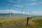 Eco-Evolution: Witnessing Sustainability Unfold in the Graceful Series of Wind Turbines