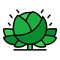 Eco farm cabbage icon color outline vector