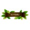Eco friendly banner, ribbon with leaves, vector illustrati
