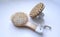 Eco-friendly beauty and health wooden products a hairbrush and a massage brush for body