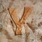 Eco friendly cardboard letter Y, grunge recycled alphabet, design element