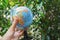 Eco-friendly concept - people hold globe map with nature background