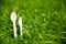 Eco-friendly cutlery wooden spoon fork