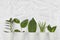 Eco friendly disposable, compostable, recyclable paper cups with plant branches and plastic glasses on white background