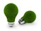 Eco-Friendly Green Grass Light Bulbs on white back