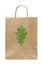 Eco-friendly paper bag with green leaf oak