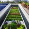 An eco-friendly rooftop garden with a rainwater collection system, vertical gardens, and solar panels1, Generative AI