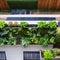 An eco-friendly rooftop garden with a rainwater collection system, vertical gardens, and solar panels3, Generative AI