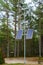 Eco friendly solar powered street light in the nature park