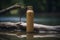 an eco friendly sustainable water bottle made from bamboo. Generative ai