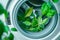 eco-friendly washing machine with green leaves inside, the concept of environmentally friendly washing, preserving ecology and