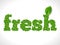 Eco friendly word FRESH made of green vector leafs. Eco text concept