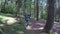 Eco friendly young woman walking alone in forest admiring nature on sunny day -