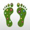 Eco human footprint