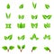 Eco icon green leaf vector