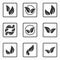 Eco lifestyle concepts icon.